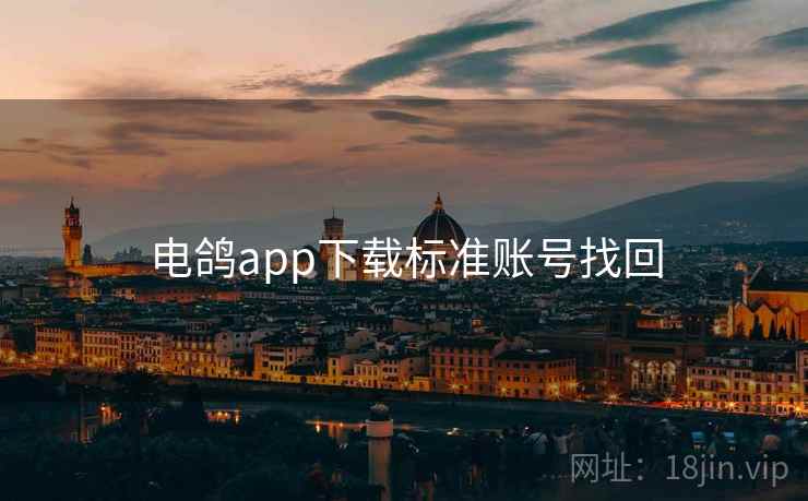 电鸽app下载标准账号找回