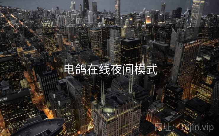 电鸽在线夜间模式
