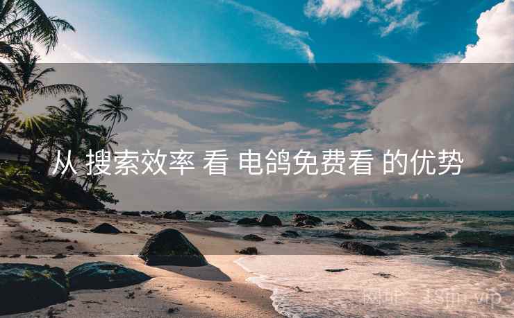 从 搜索效率 看 电鸽免费看 的优势