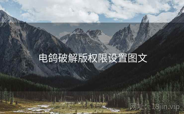 电鸽破解版权限设置图文
