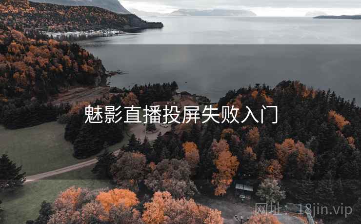 魅影直播投屏失败入门
