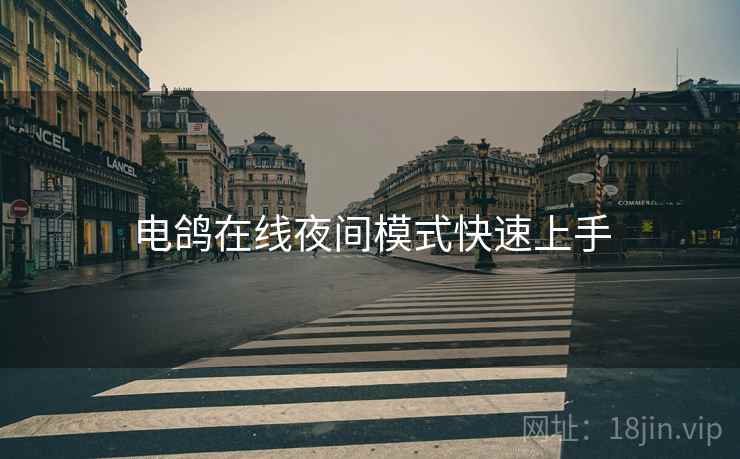 电鸽在线夜间模式快速上手