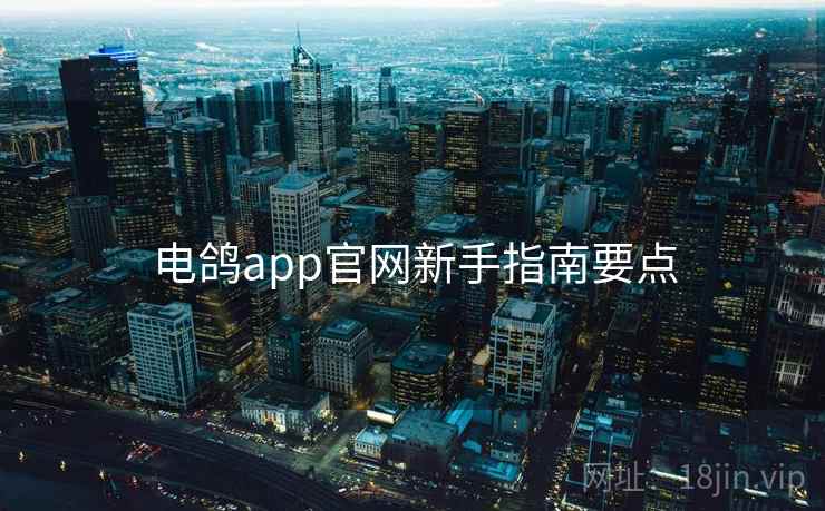 电鸽app官网新手指南要点