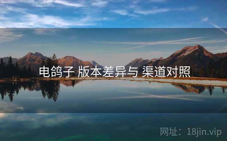 电鸽子 版本差异与 渠道对照