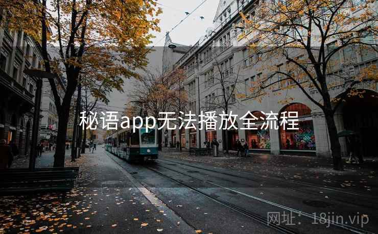 秘语app无法播放全流程