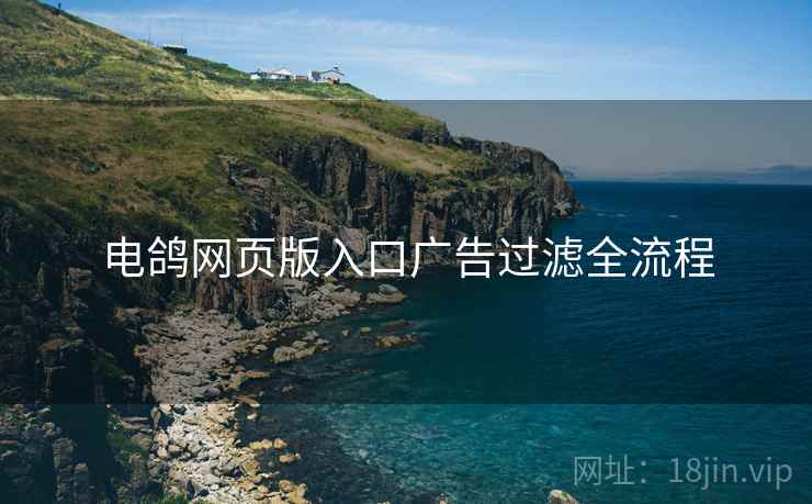 电鸽网页版入口广告过滤全流程