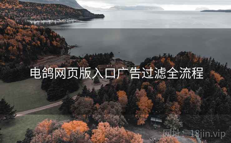 电鸽网页版入口广告过滤全流程
