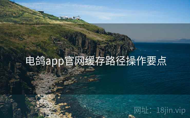 电鸽app官网缓存路径操作要点