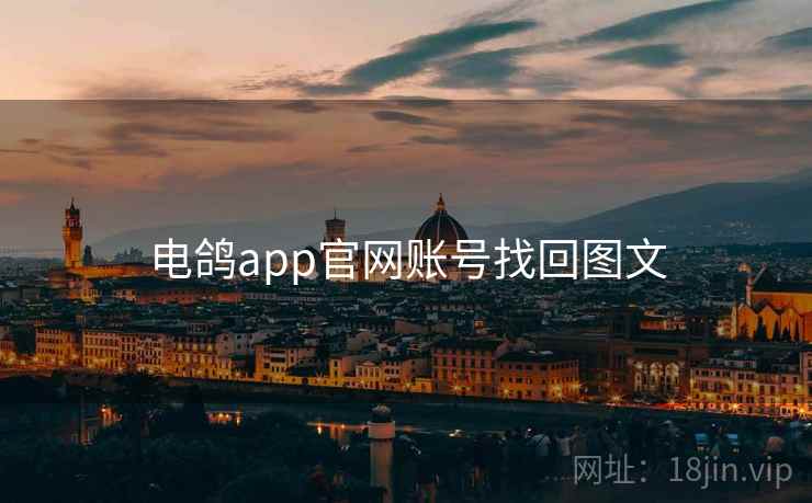 电鸽app官网账号找回图文