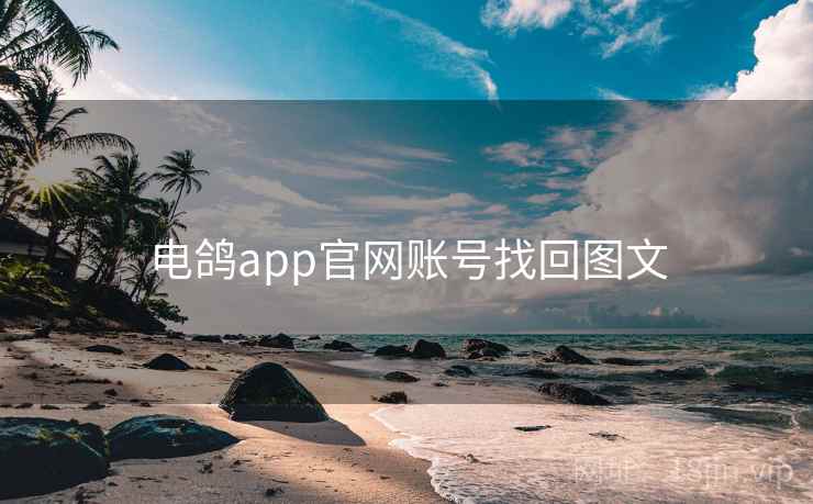 电鸽app官网账号找回图文