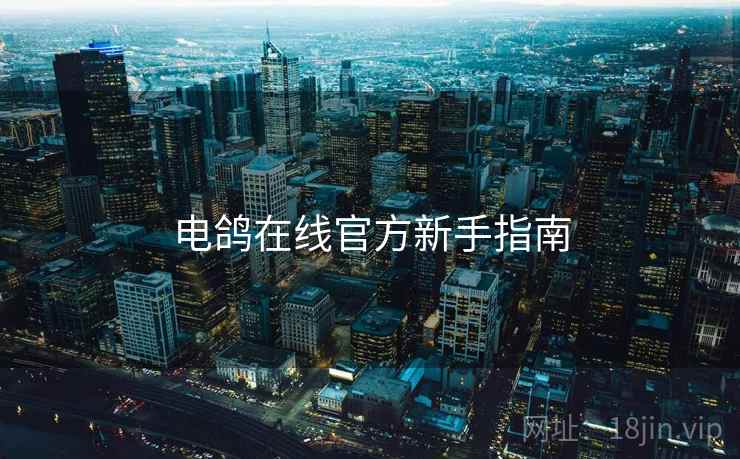 电鸽在线官方新手指南