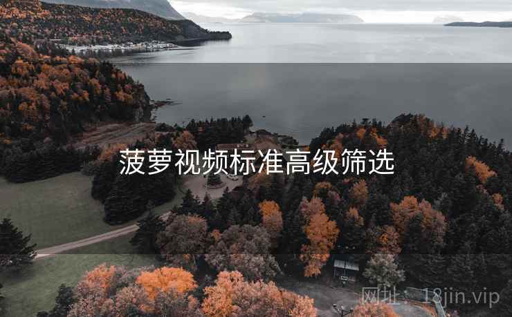 菠萝视频标准高级筛选
