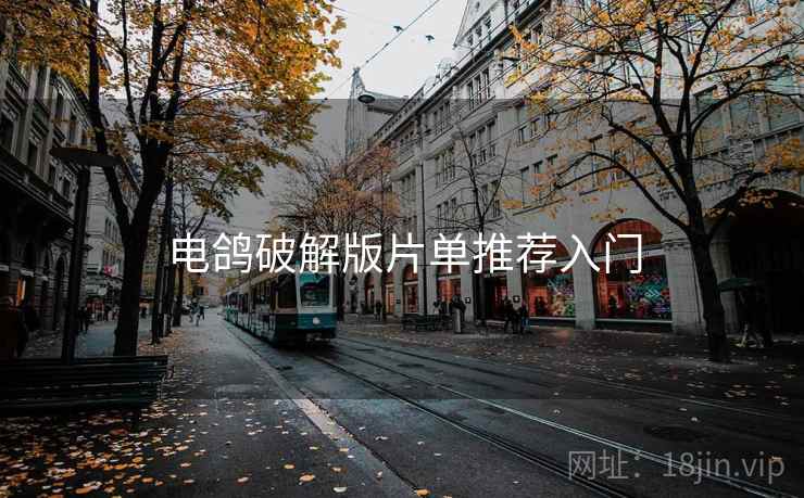 电鸽破解版片单推荐入门