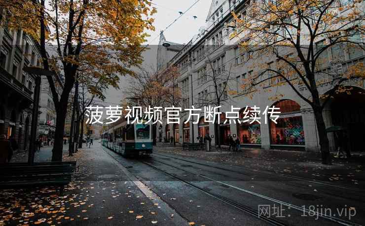 菠萝视频官方断点续传