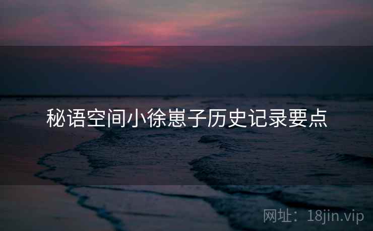 秘语空间小徐崽子历史记录要点